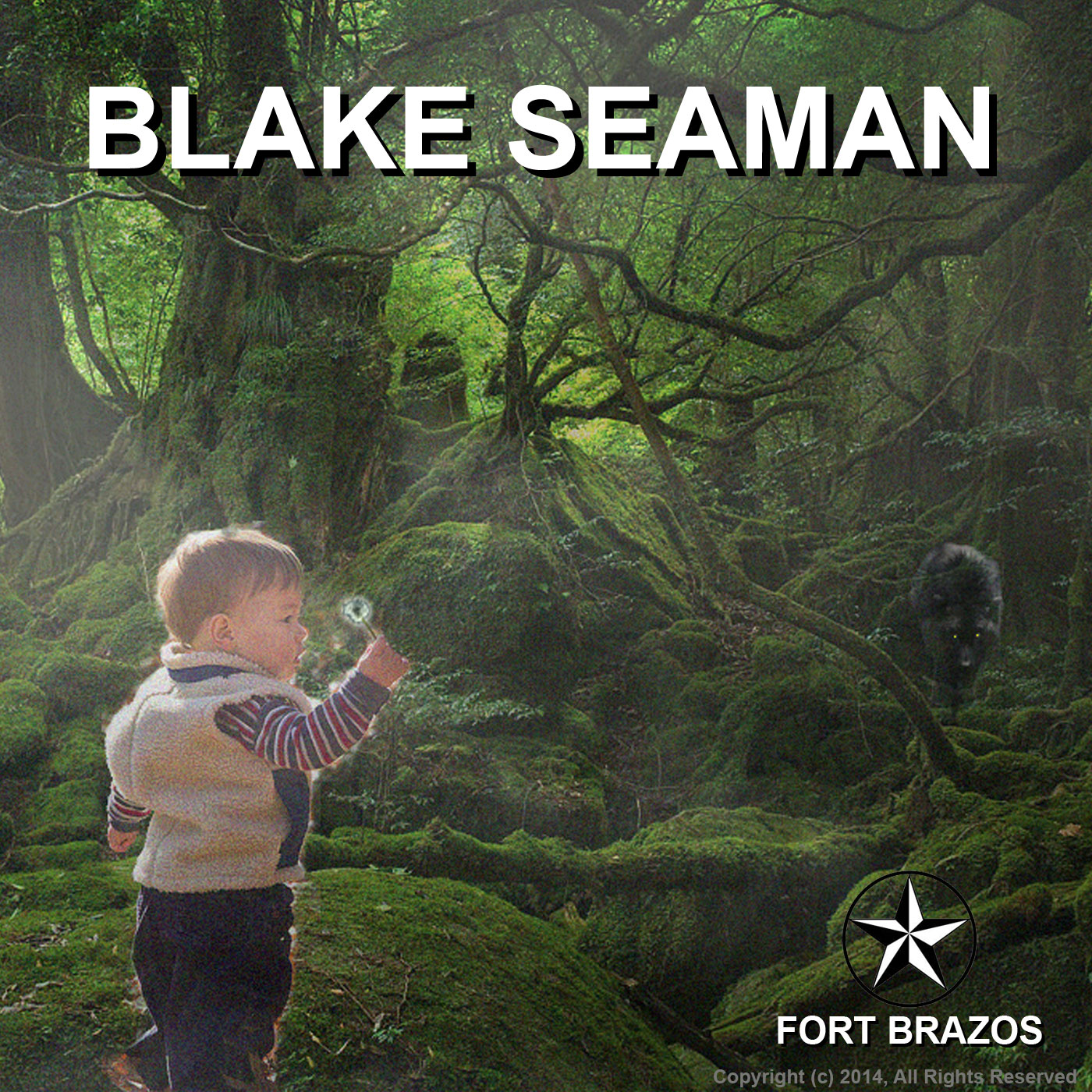 Fort Brazos Soundtrack