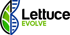 Lettuce Evolve